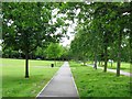 TQ2874 : A cycleway across Clapham Common by Chris Reynolds