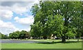 The south end of the Long Pond, Clapham Common