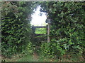 Stile in hedge on Tile Lodge Road