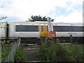 Train on Level Crossing near Shepherd