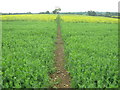 Footpath to Barnfield