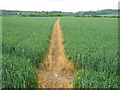 Footpath to Westwell