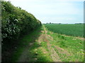 Bridleway towards the B1242