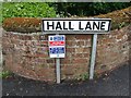 Hall Lane signs