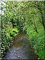 Gilwiskaw Brook (looking south)