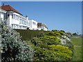 Houses along Cliff Road