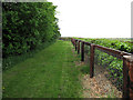 Footpath around White Lodge