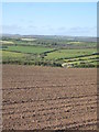 Field near Trelew Farm