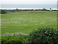 Pitch and putt by the sea, Woolacombe