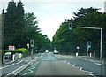 Green light in Wimborne Road