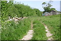 Chickens and tipping, off Greenway Lane