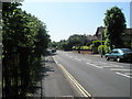 Looking southwards down Spring Garden Lane