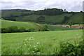 Stream valley near Greenway Lane