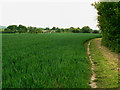 Footpath near Cuckoo