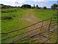 Track of the Cairn Valley Light Railway near Gordieston