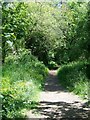 Footpath near Avington