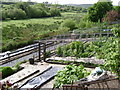 Gardening by Ashcombe Road