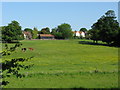 View across fields to Eastry