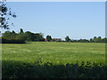 Barley field to New Cottages