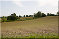 Rolling farmland on Hill Farm