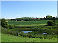 Pond near Patching