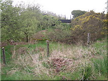 SH7136 : Disused railway line near to Trawsfynydd by Peter S