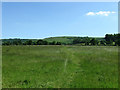 Footpath to Chantry Lane