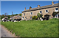 Roadside Grazing, Feetham