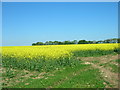 Farmland West of Staxton Wold Farm