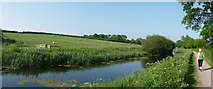 ST0414 : Mid Devon : Grand Western Canal by Lewis Clarke