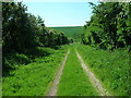 Farm Track to Cotton Dale