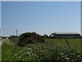 Modern farm sheds at Tyn Rhos, Carreglefn