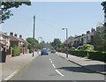 Potternewton Avenue - Potternewton Grove