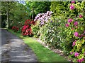 Driveway, Coles Garden