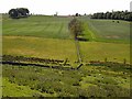 Fields near Callaly