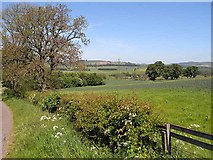 NU0514 : Fields above Branton Middlesteads by Oliver Dixon