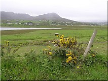 C4149 : Craigawannia, Doagh Island by Kenneth  Allen