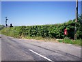 Postbox, Crossroads Above Login