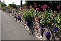 Floral colour, Lincombe Drive