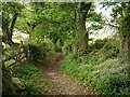 Byway near Langdon