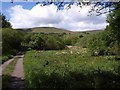 Lane to Vogwell Cottage (2)