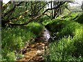 Stream near Vogwell Cottage