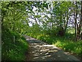 Lane near Berllan, Eglwyswrw