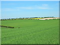 Farmland near High Barn