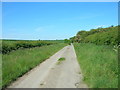 Minor Road Towards Broom Farm