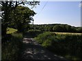 Country road above Hendy