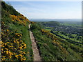 SJ0781 : Offa's Dyke Path on Prestatyn Hillside by Tim Heaton