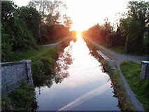 N9729 : Sunrise on the Grand Canal at Kearneystown Upper, Co. Kildare by JP