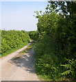 Farm road to Penclawdd isaf