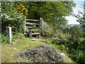 Stile on Moel-y-Gaer